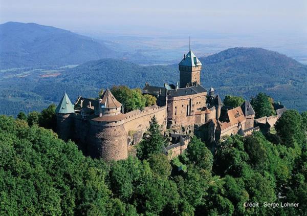Selestat Entre Colmar Et Strasbourgアパートメント エクステリア 写真